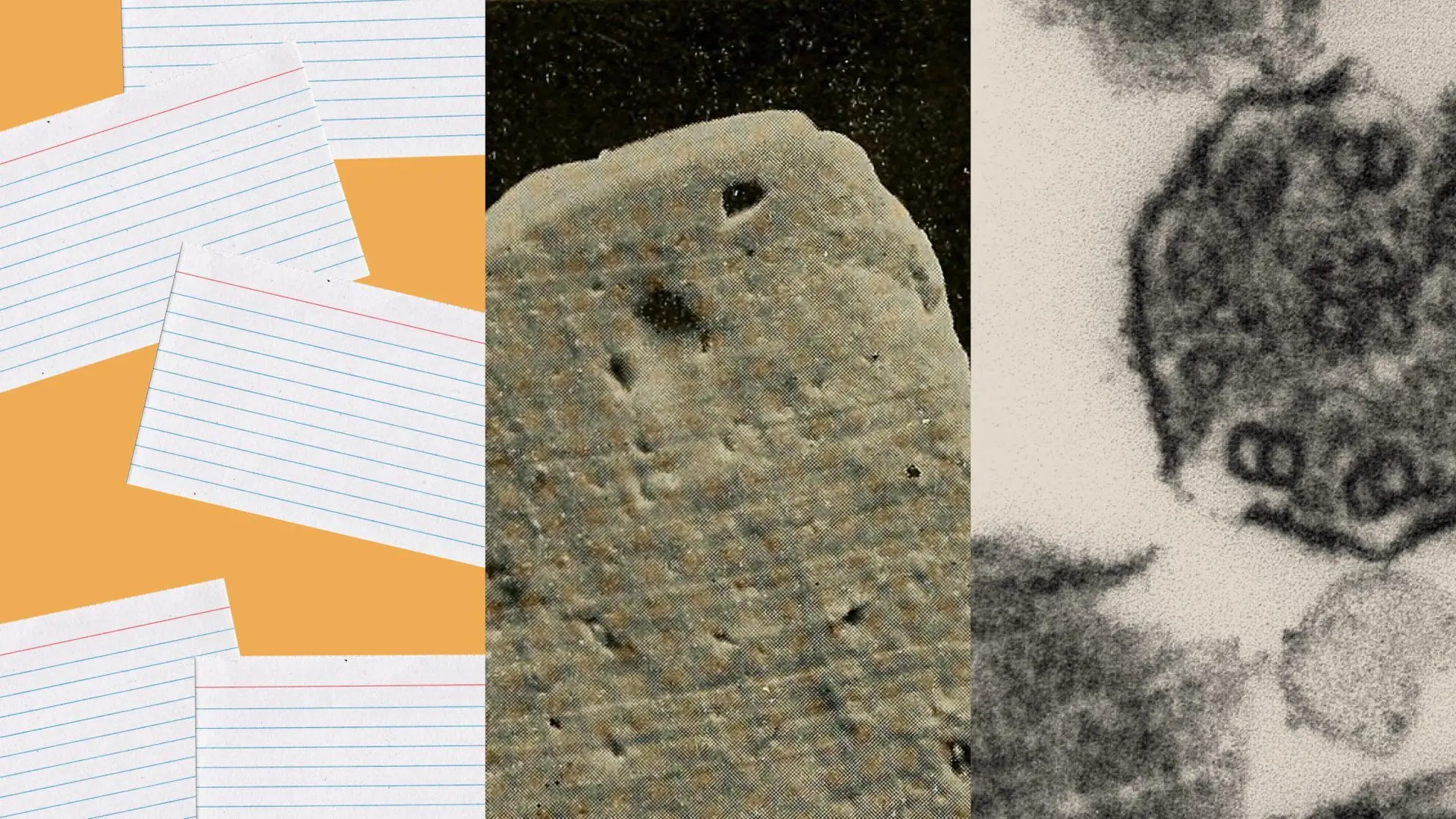 How scientists are using Claude to accelerate research and discovery