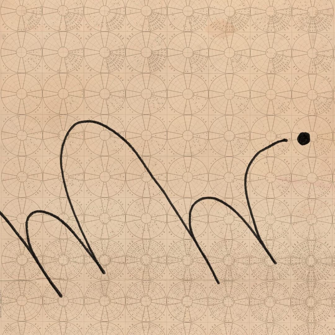 Split image showing minimalist line drawings on the left and white peonies against a brown background on the right.