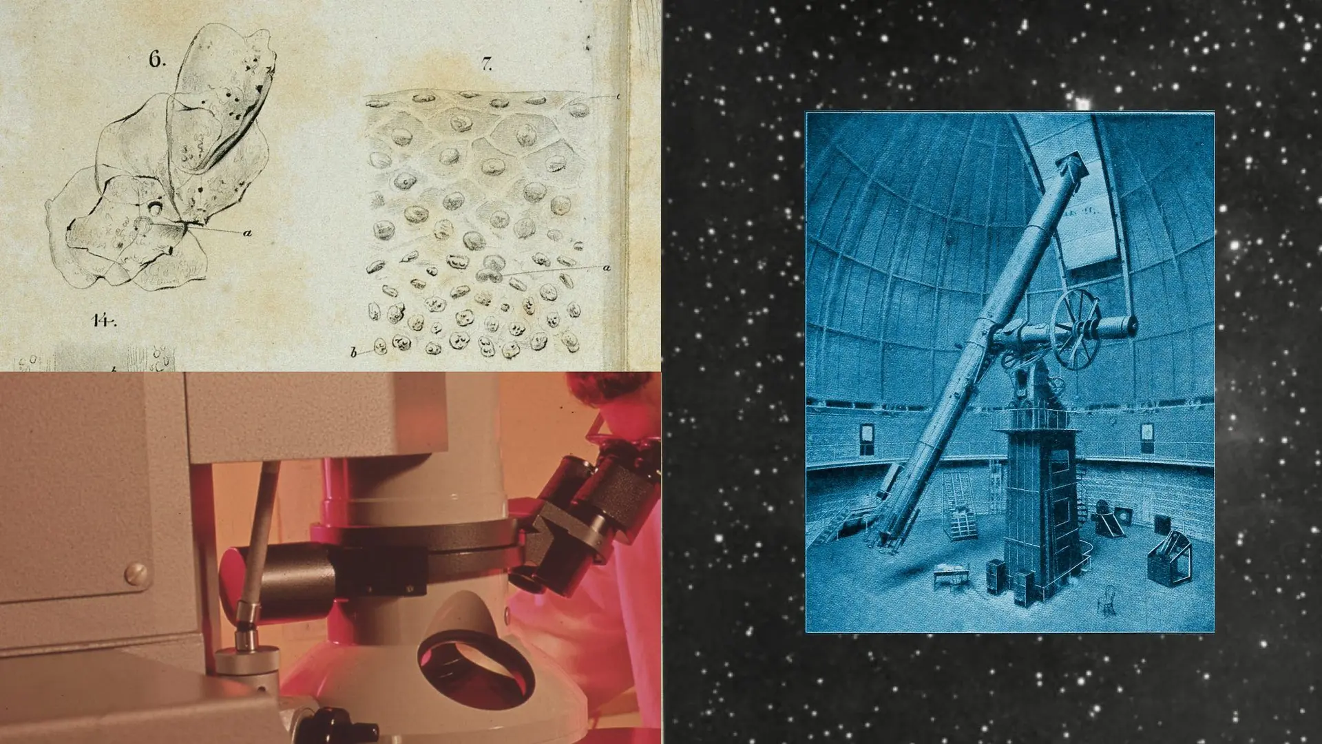 AI for Science expands to foundations and research institutions