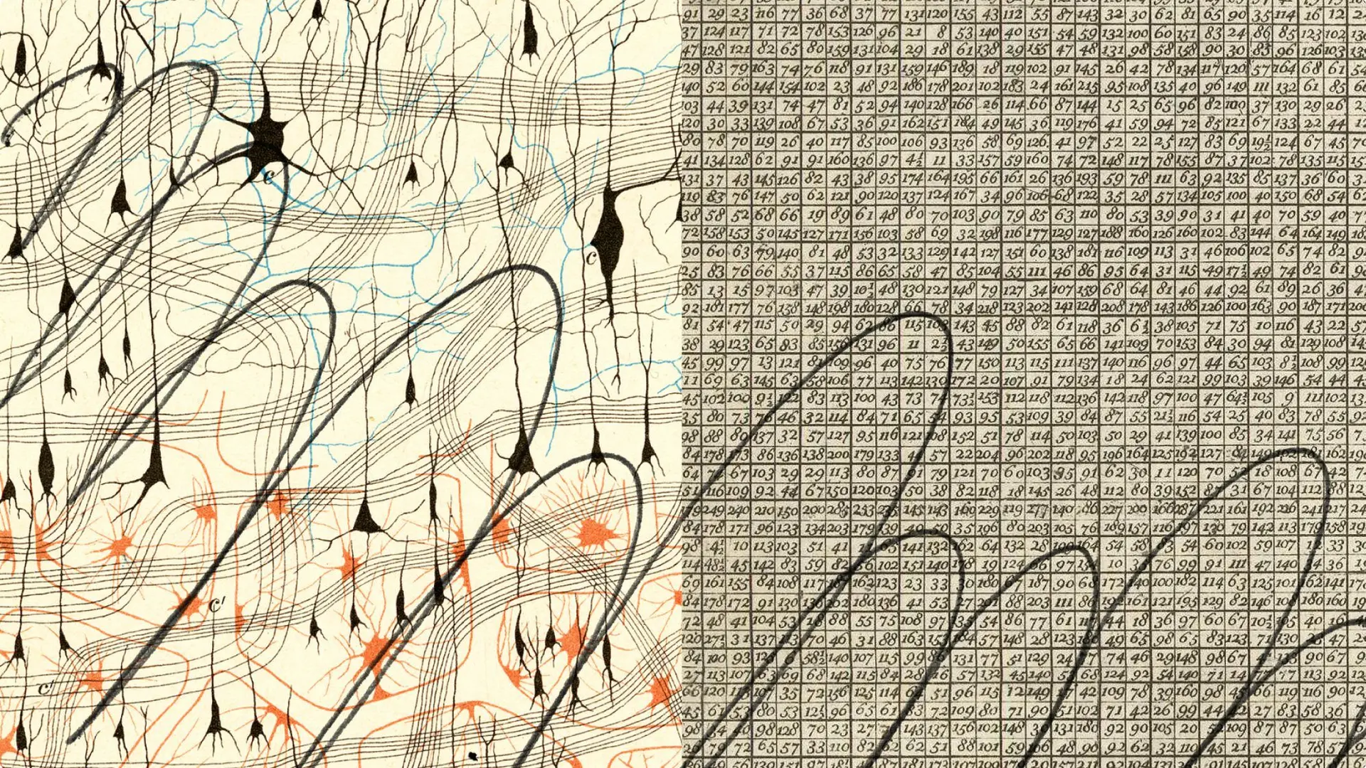 Paving the way for agents in biology