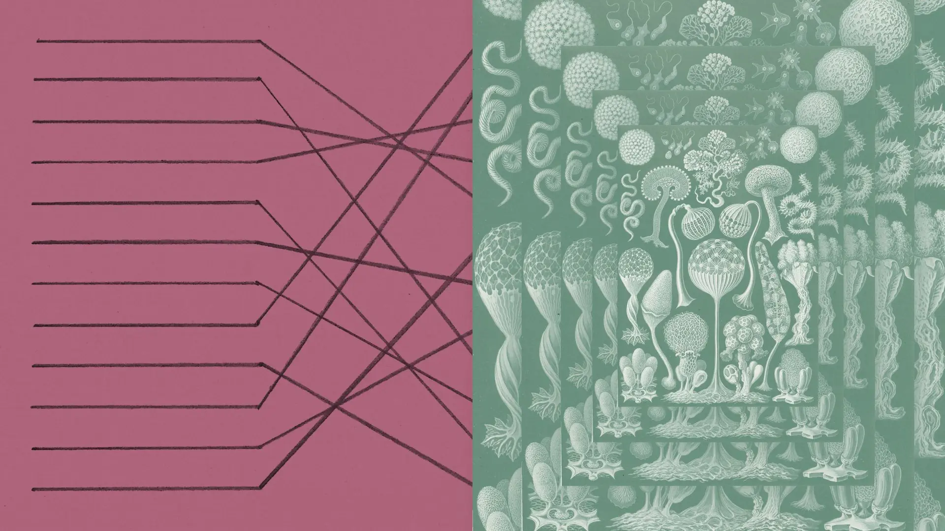 AI models may be capable of self-replicating without access to a datacenter