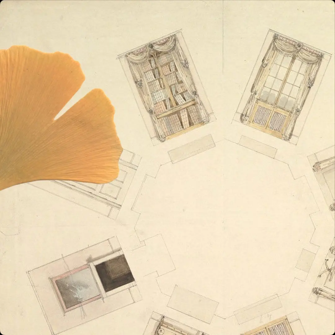 A ginkgo leaf and architectural floor plans.