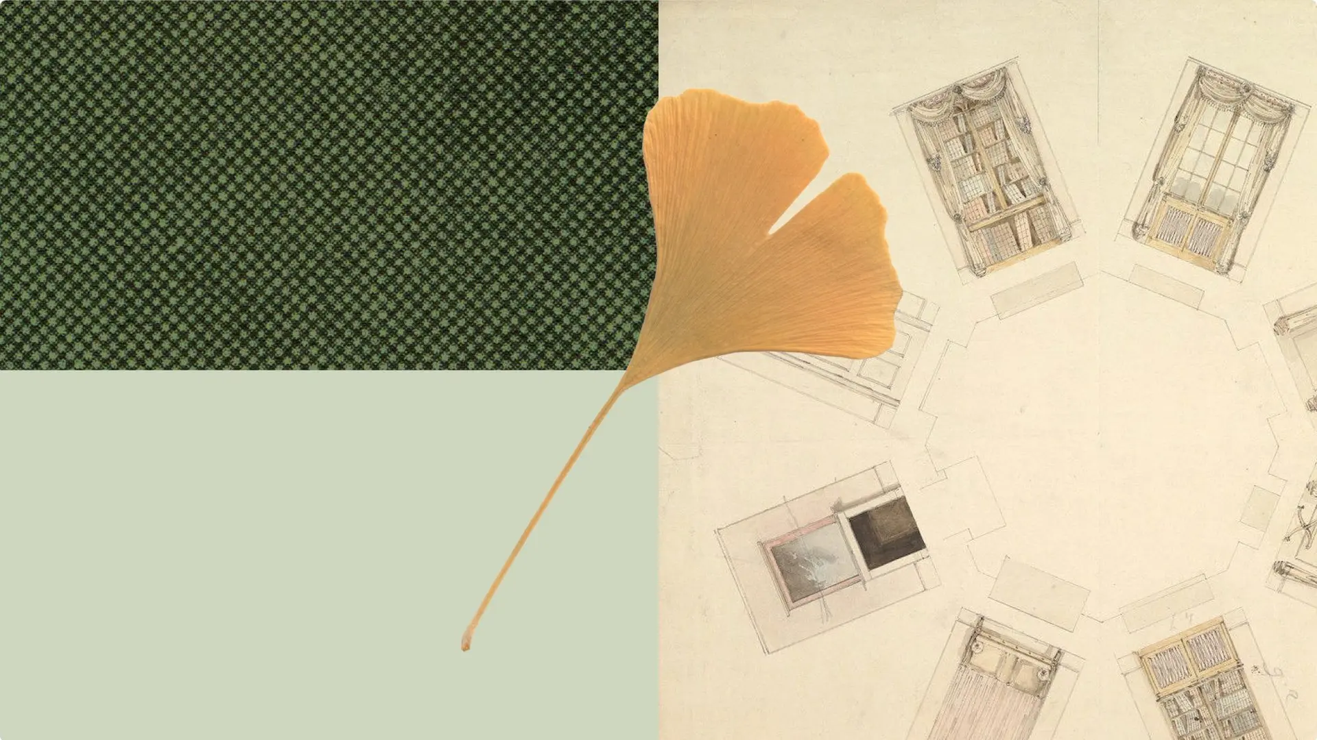 A ginkgo leaf and architectural floor plans arranged on a split background of green pattern, pale green, and cream surfaces.