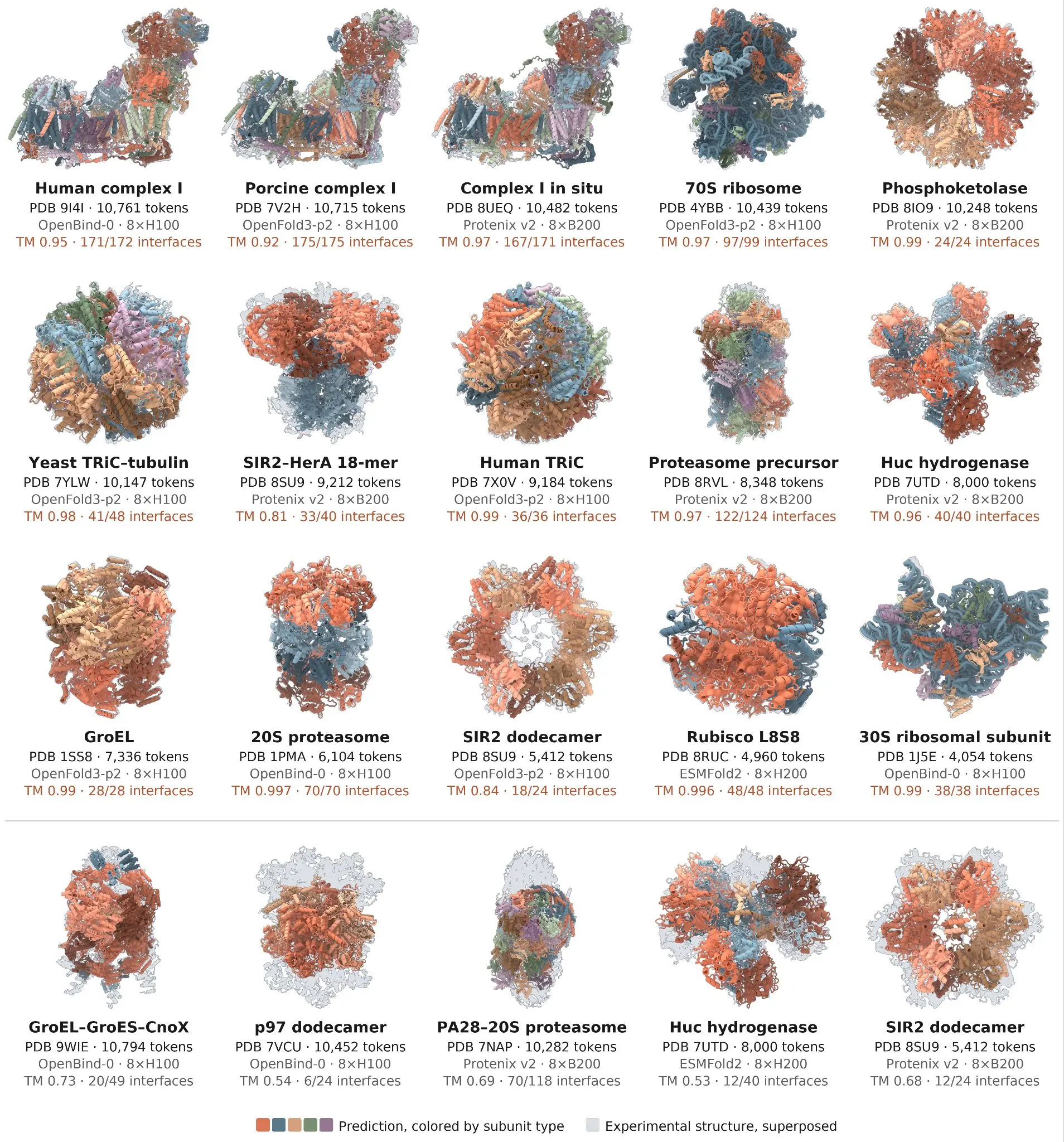 Image of large molecular complexes created by Claude's "big" mode