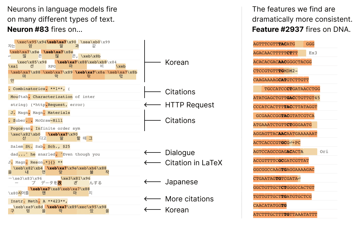 Decomposing Language Models Into Understandable Components \ Anthropic